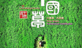 九草在线视频,探索自然与生活的和谐之美